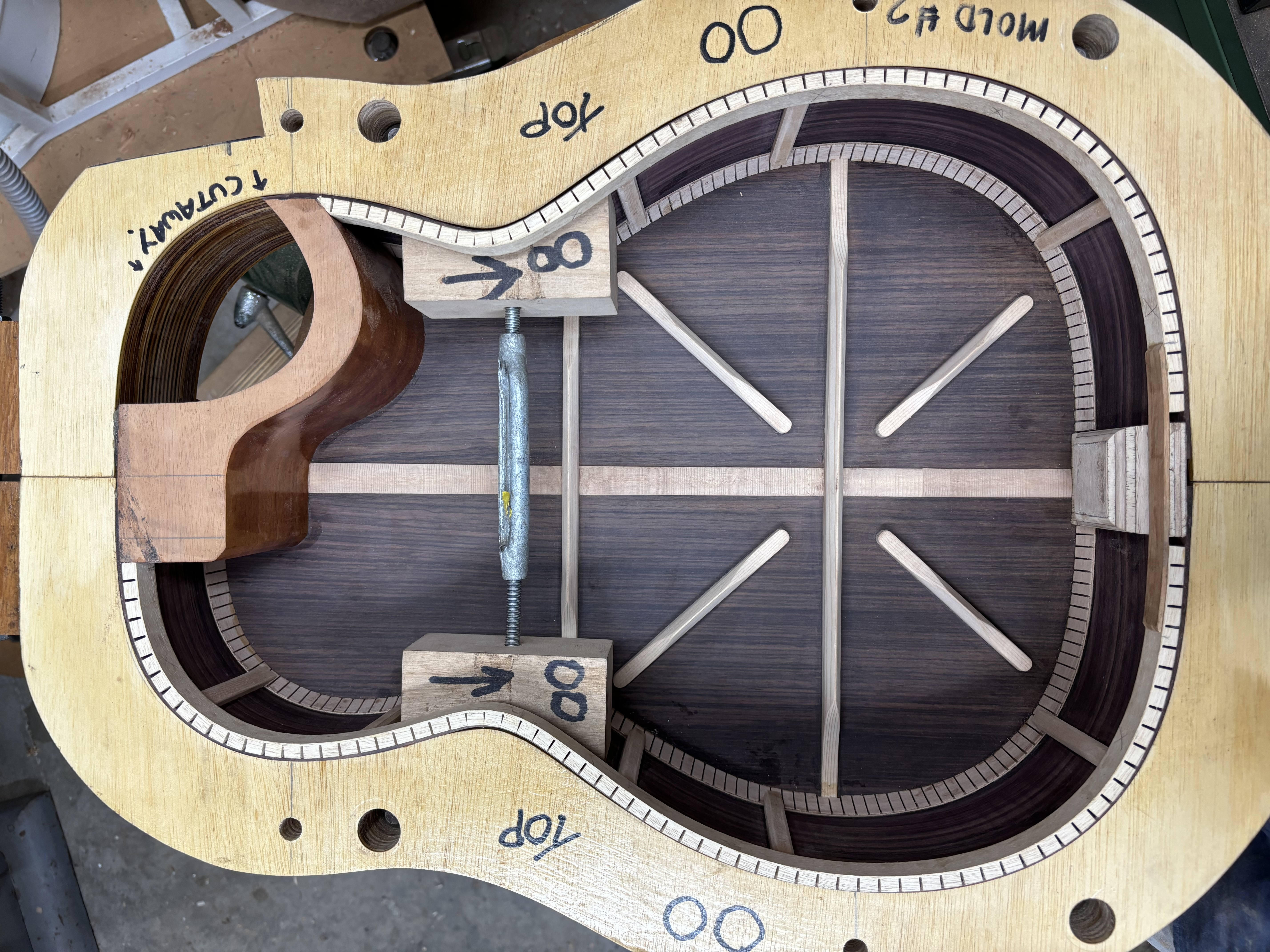 Placeholder: The cutaway and neck-block detail